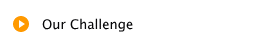 Our Challenge